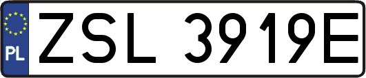 ZSL3919E