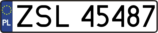 ZSL45487