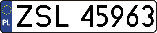ZSL45963