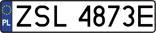 ZSL4873E
