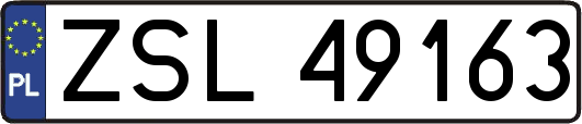 ZSL49163