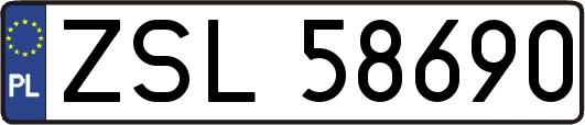 ZSL58690