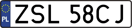ZSL58CJ