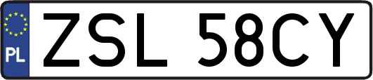 ZSL58CY