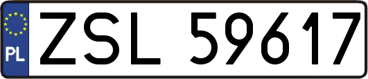 ZSL59617