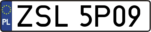 ZSL5P09