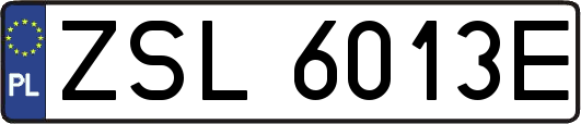 ZSL6013E