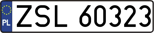 ZSL60323