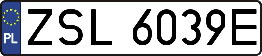 ZSL6039E