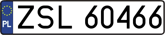 ZSL60466