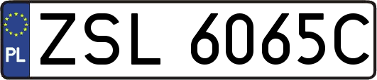 ZSL6065C