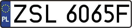 ZSL6065F