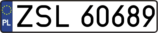 ZSL60689