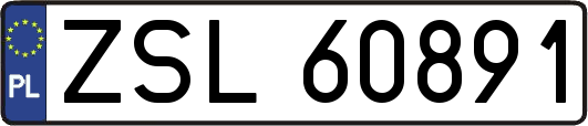 ZSL60891
