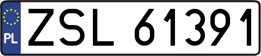 ZSL61391