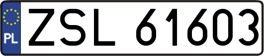 ZSL61603
