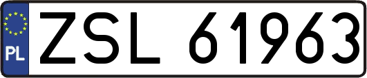 ZSL61963