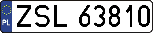 ZSL63810