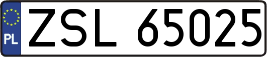 ZSL65025