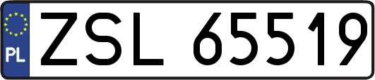 ZSL65519