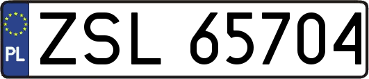 ZSL65704
