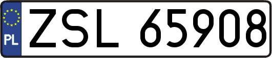 ZSL65908