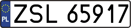 ZSL65917