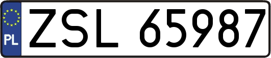 ZSL65987