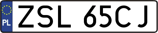ZSL65CJ