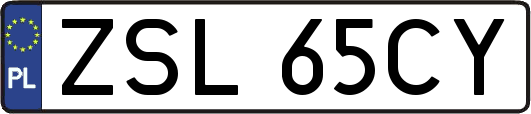 ZSL65CY