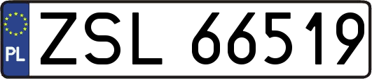 ZSL66519