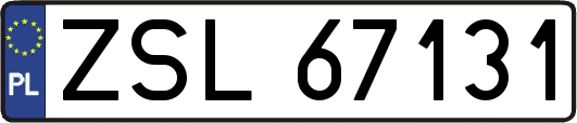 ZSL67131