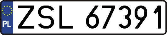 ZSL67391