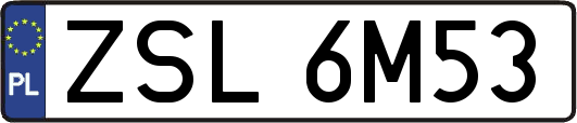 ZSL6M53