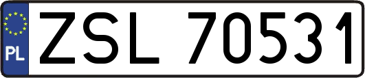 ZSL70531