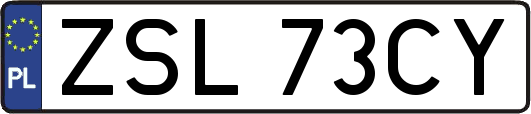 ZSL73CY