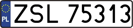 ZSL75313
