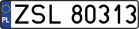ZSL80313