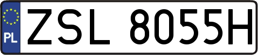 ZSL8055H