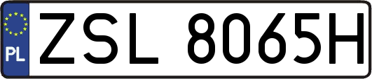 ZSL8065H