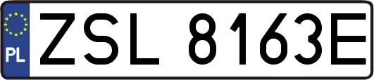 ZSL8163E