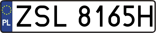 ZSL8165H