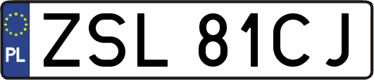 ZSL81CJ