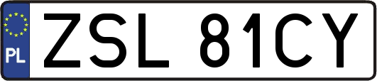 ZSL81CY