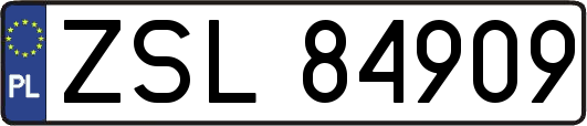 ZSL84909