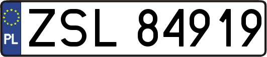 ZSL84919