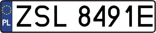 ZSL8491E