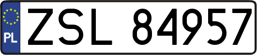 ZSL84957
