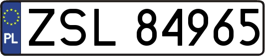 ZSL84965
