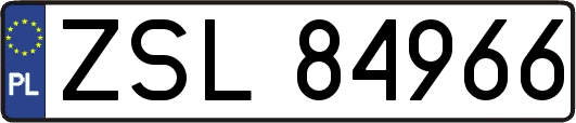 ZSL84966